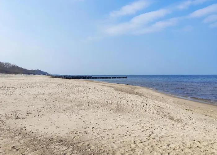 Pet Friendly In Darlowo *