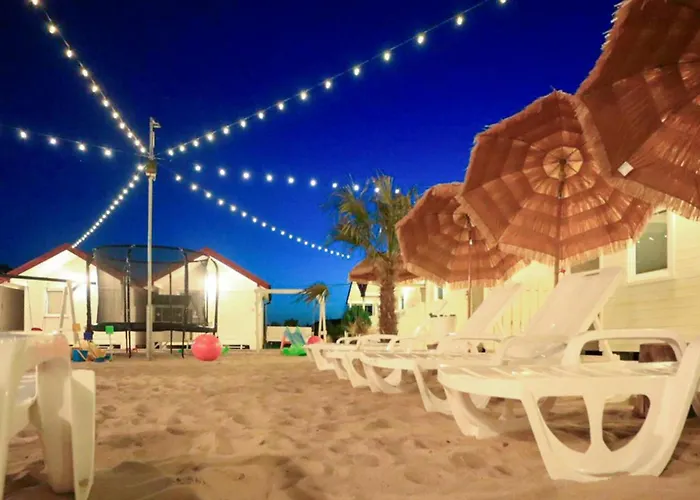 Pet Friendly In Darlowo *